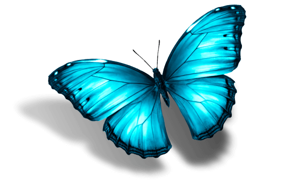 Sommervogel blau mit Schatten