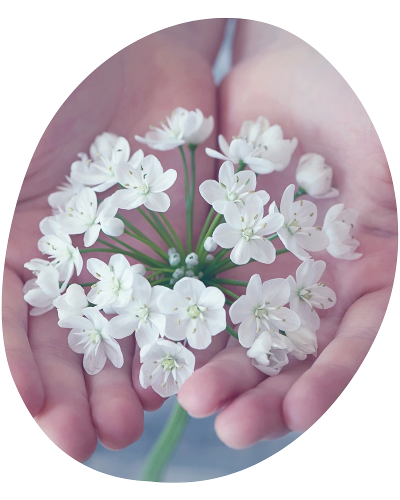 Blumen in den Händen