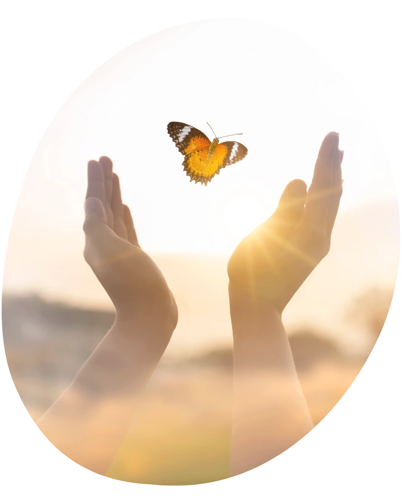 Energie in den Händen, Schmetterling fliegt aus Händen davon