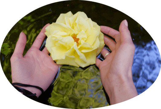 Hände mit gelber Rose